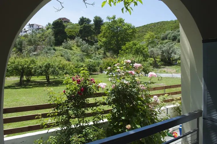 The garden through the veranda arch, with roses in bloom