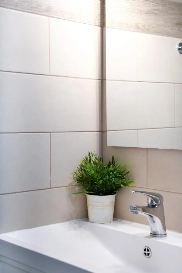 The bathroom basin