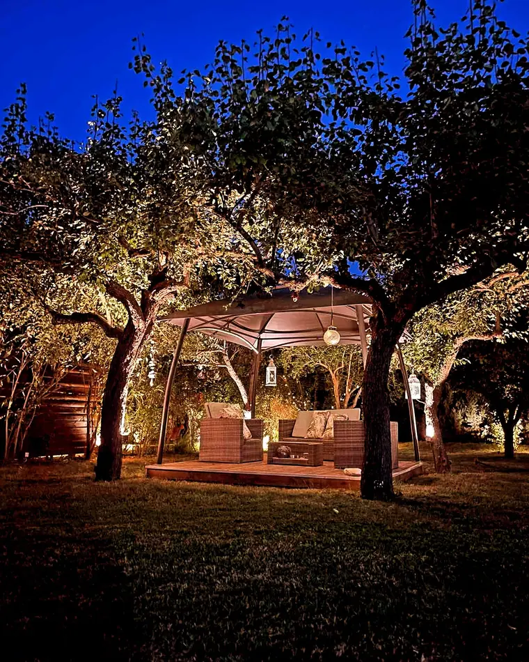 The gazebo lit up under the olive trees at night