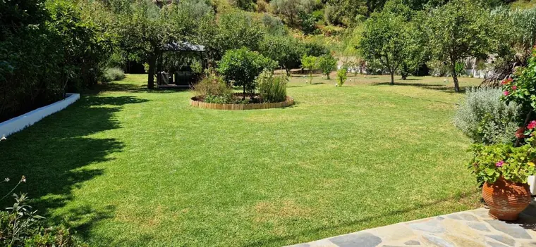 The lawn, a round flower bed and the olive grove